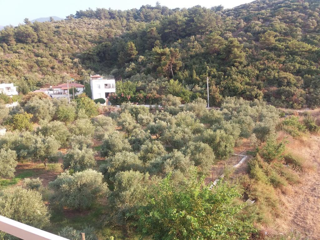 Zeus Apart Pansiyon Guzelcamlı Esterno foto
